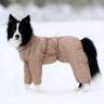 Зимний комбинезон для собак - Зимний комбинезон для собак
