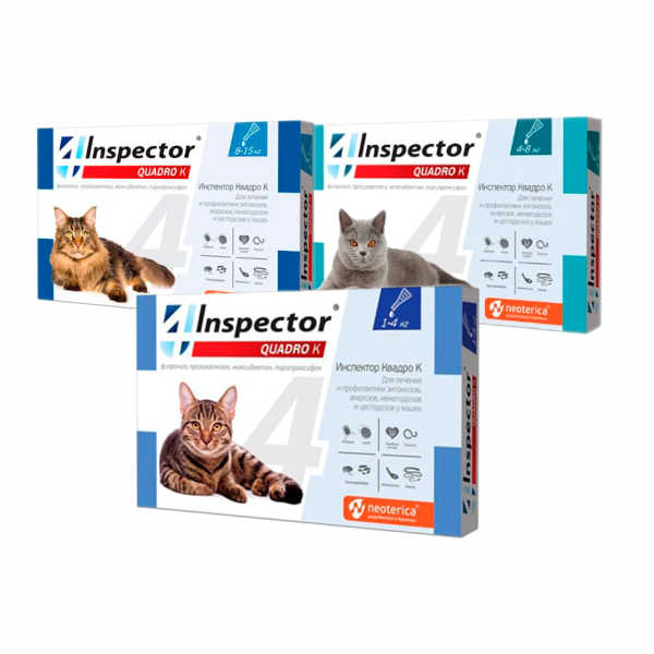 Капли для кошек Инспекор Quadro K 4 в 1 Капли для кошек Inspector Quadro K 4 в 1