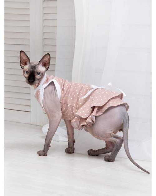 Платье для кошек Мурлыка