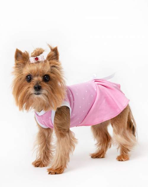 Платье для собак Маленькая кокетка