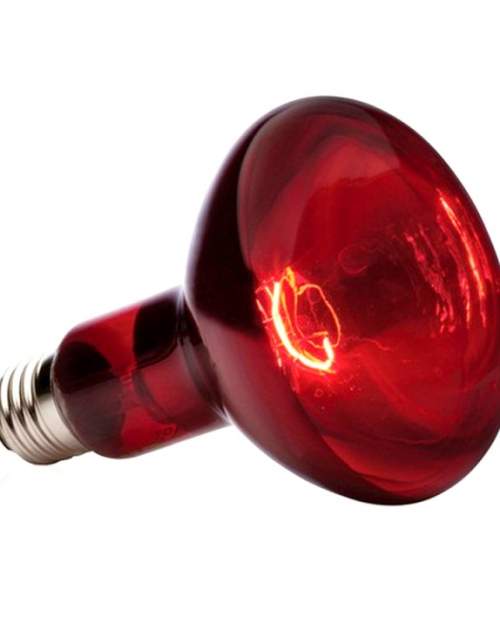 Лампа ИКЗК 230 красная 