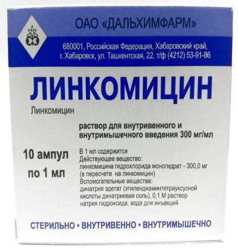 Линкомицин раствор для внутривенного и внутримышечного введения  300 мг/мл