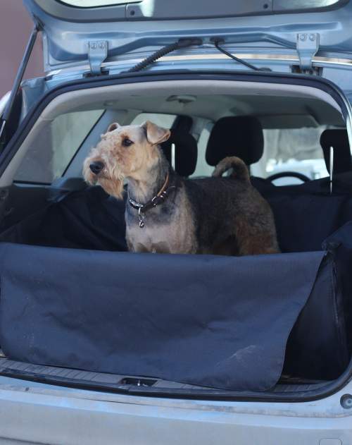 Автогамак для собак в багажник для универсалов, внедорожников и минивенов 120х115 см