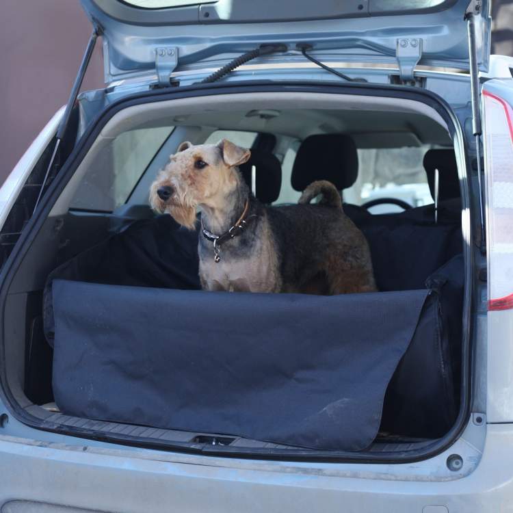 Автогамак для собак в багажник для универсалов, внедорожников и минивенов 120х115 см Автогамак для собак OSSO Fashion Car Premium в багажник для универсалов, внедорожников и минивенов 120х115 см